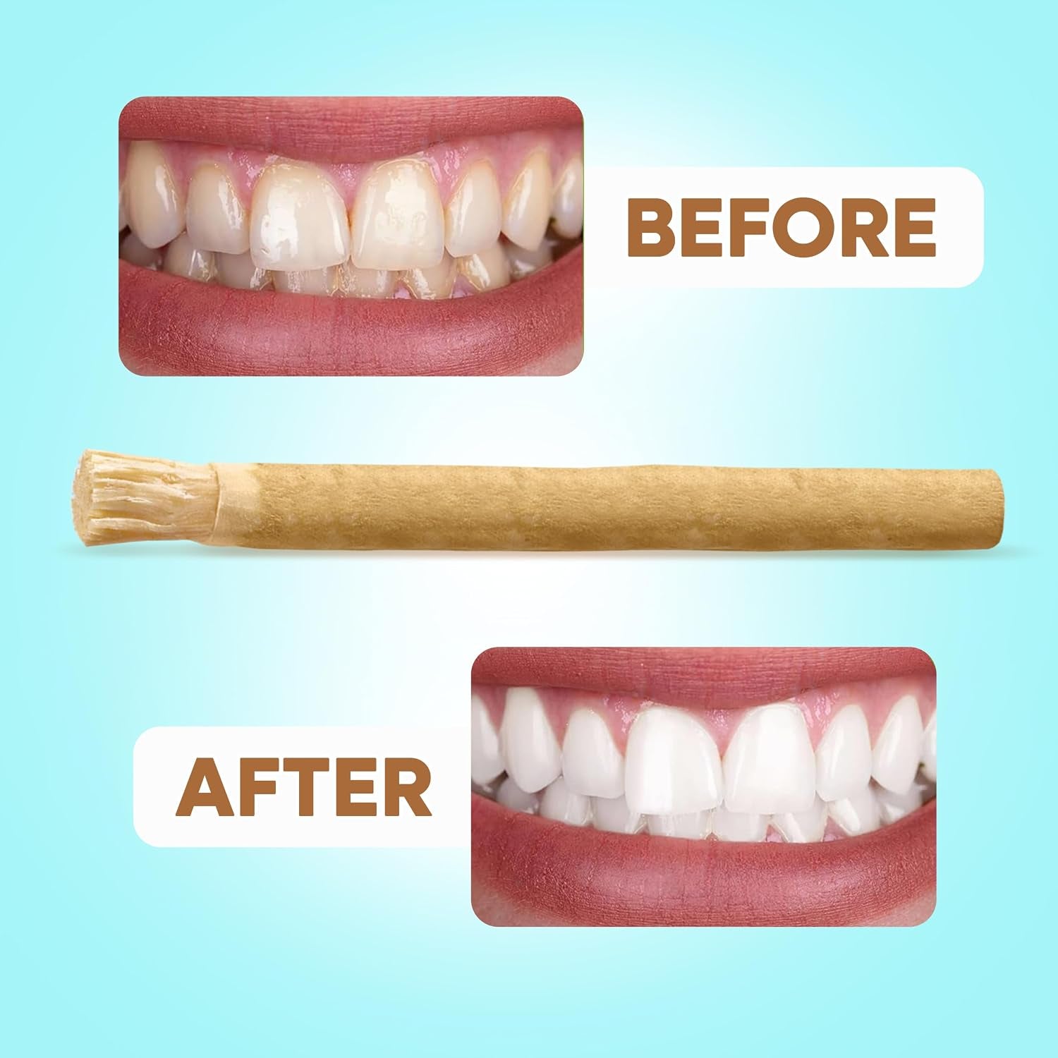 Natural Toothbrush Miswak with 5 Pack and Miswak Holder - Premium Quality, Organic, Triple Wash, Plain Packaging