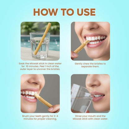 Natural Toothbrush Miswak with 5 Pack and Miswak Holder - Premium Quality, Organic, Triple Wash, Plain Packaging