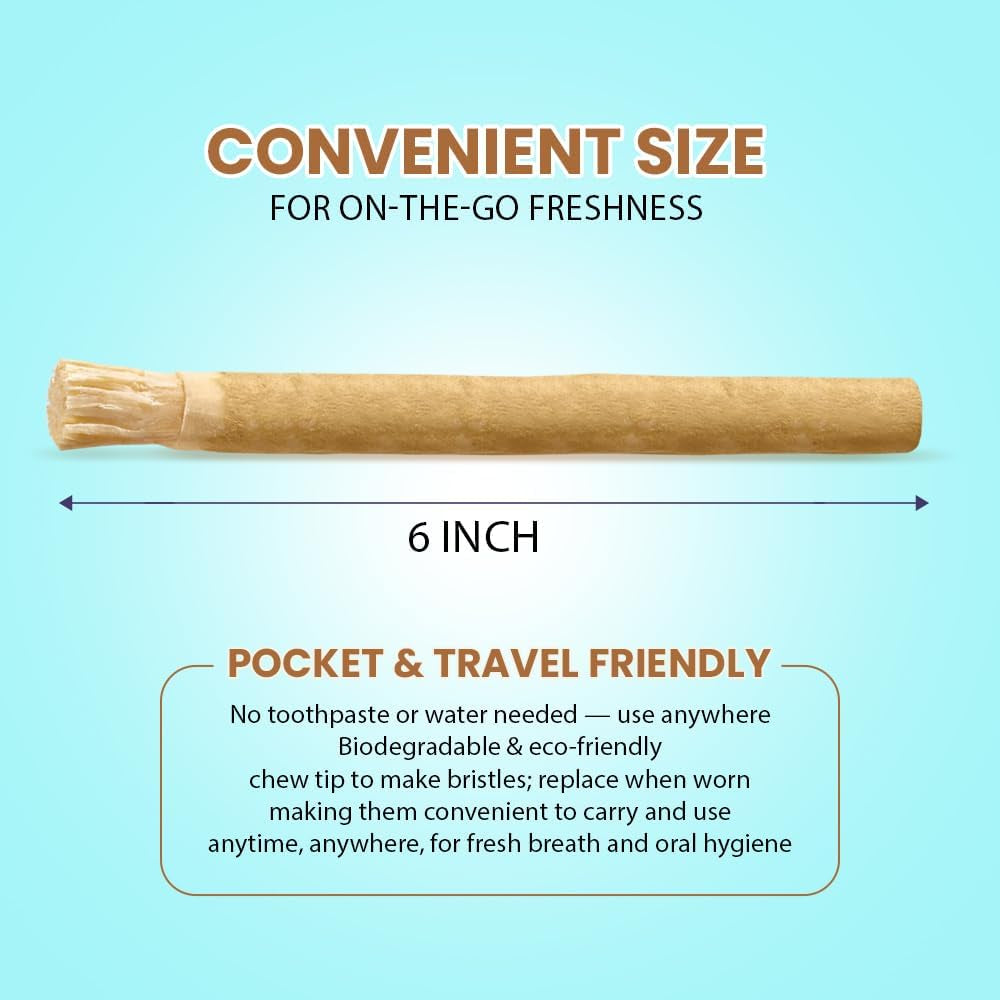 Natural Toothbrush Miswak with 5 Pack and Miswak Holder - Premium Quality, Organic, Triple Wash, Plain Packaging