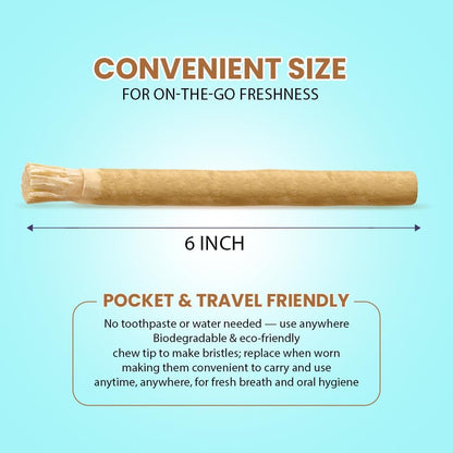 Natural Toothbrush Miswak with 5 Pack and Miswak Holder - Premium Quality, Organic, Triple Wash, Plain Packaging